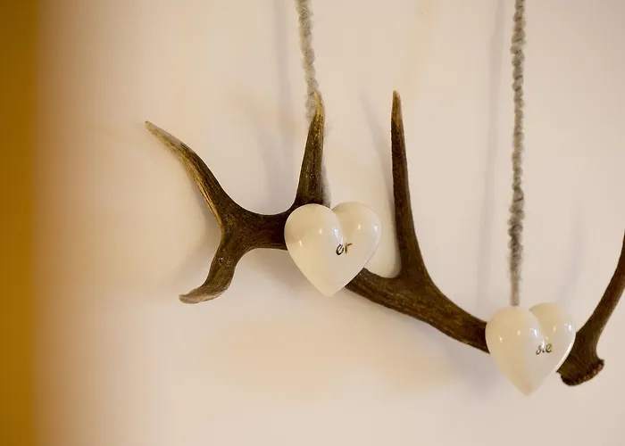 Amdorfplatzsuites B&b- Adultsfriendly