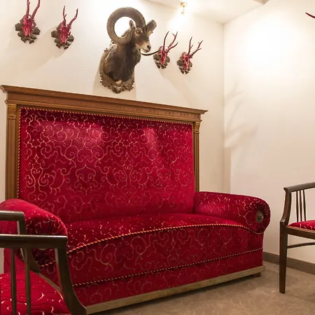 Hotell Amdorfplatzsuites B&b- Adultsfriendly 4*